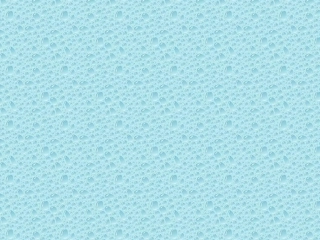 14美丽的公鸡
