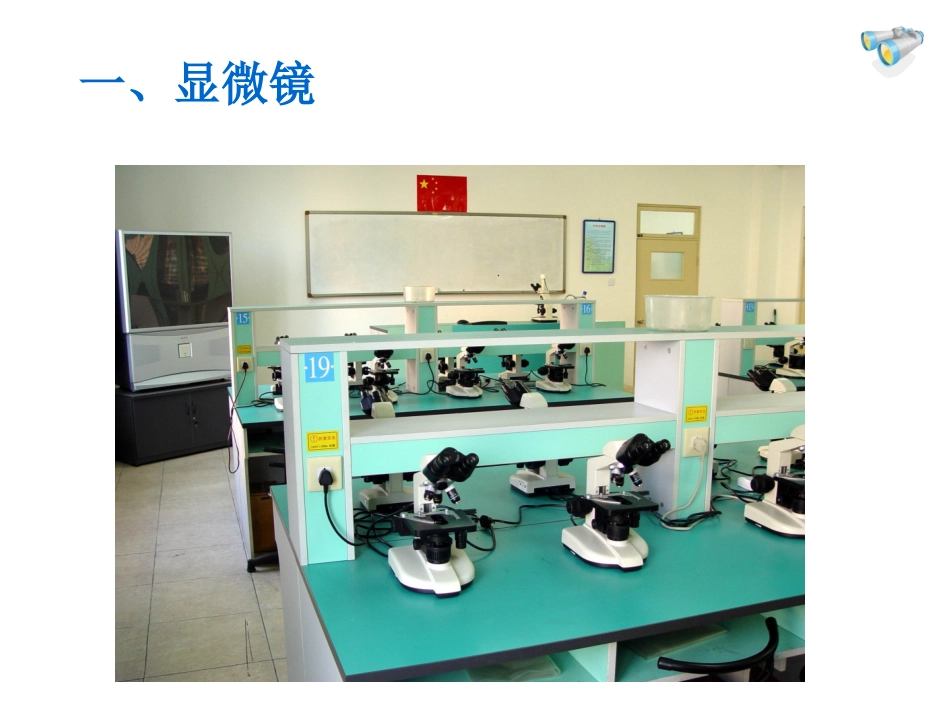 《显微镜和望远镜》课件2_第2页