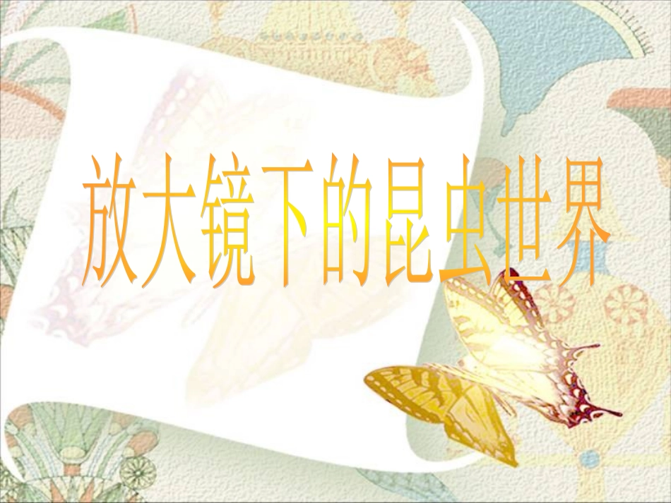 六年级科学下册-放大镜下的昆虫世界3课件-教科版_第1页