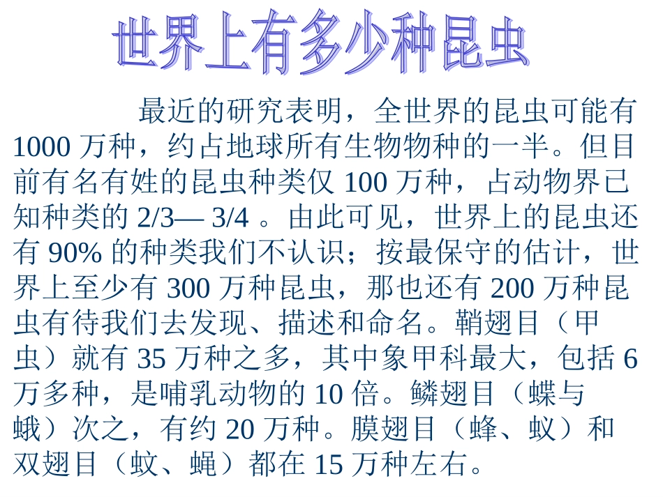 六年级科学下册-放大镜下的昆虫世界3课件-教科版_第2页