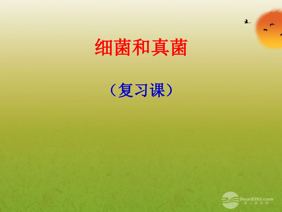 八年级生物上册-第四、五章-细菌真菌专题复习课件-人教新课标版_第1页