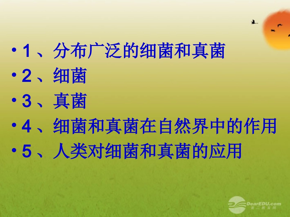 八年级生物上册-第四、五章-细菌真菌专题复习课件-人教新课标版_第2页