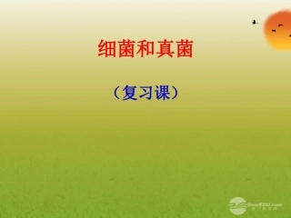 八年级生物上册-第四、五章-细菌真菌专题复习课件-人教新课标版