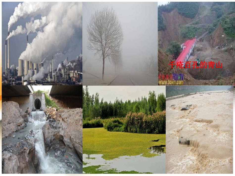 科技探索之路-生态工程的兴起-(2)_第3页