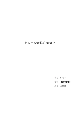 商丘城推广策划书