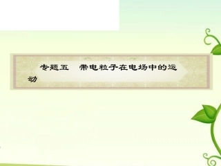 2011届高考物理二轮复习-专题5-带电粒子在电场中的运动课件