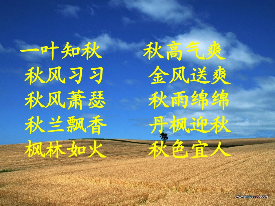 北大荒的秋天_第1页