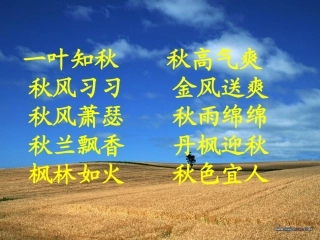 北大荒的秋天