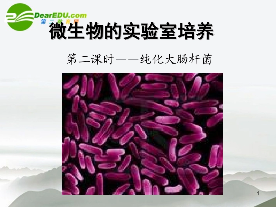 高中生物：微生物的实验室培养课件-人教版选修1_第1页