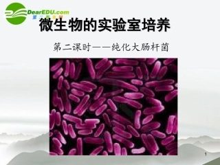 高中生物：微生物的实验室培养课件-人教版选修1