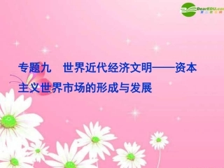 高三历史第一轮复习-模块二-专题九-世界近代经济文明——资本主义世界市场的形成与发展课件-新人教版