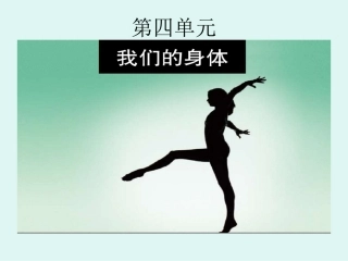 公开课科学四年级上课《身体的结构》课件