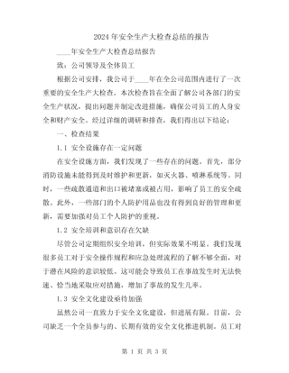 2024年安全生产大检查总结的报告 