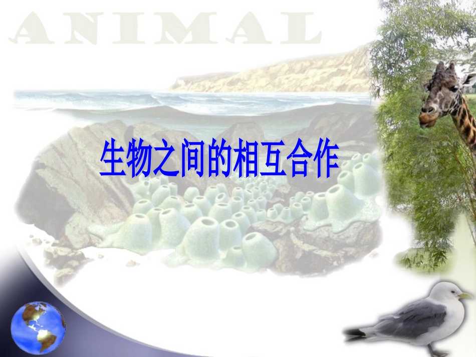 生物之间的相互合作-(2)_第1页