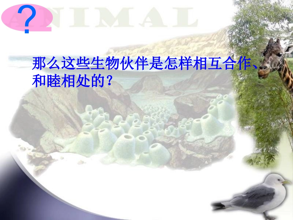 生物之间的相互合作-(2)_第2页