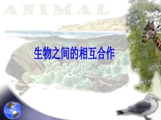 生物之间的相互合作-(2)
