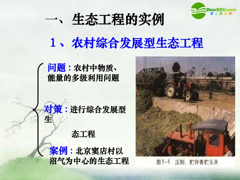 高中生物-2.1.2《我国的生态工程》课件(1)-中图版选修3_第3页