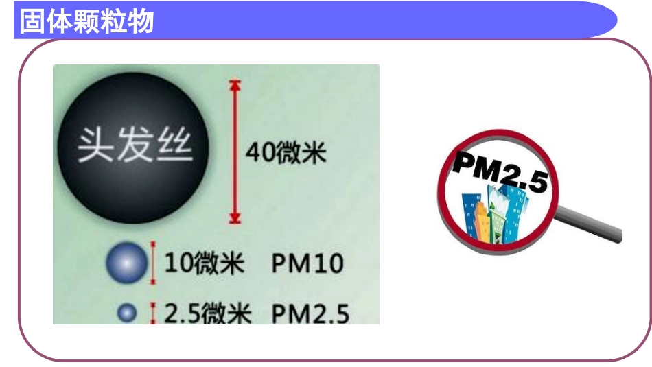 第一节环境污染问题_第3页