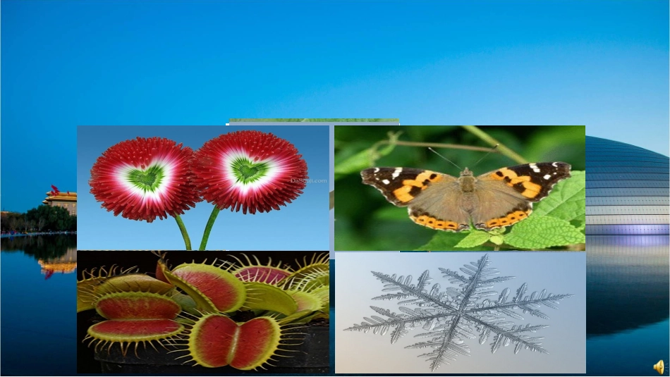 数学公开课定稿-轴对称课件-_第2页