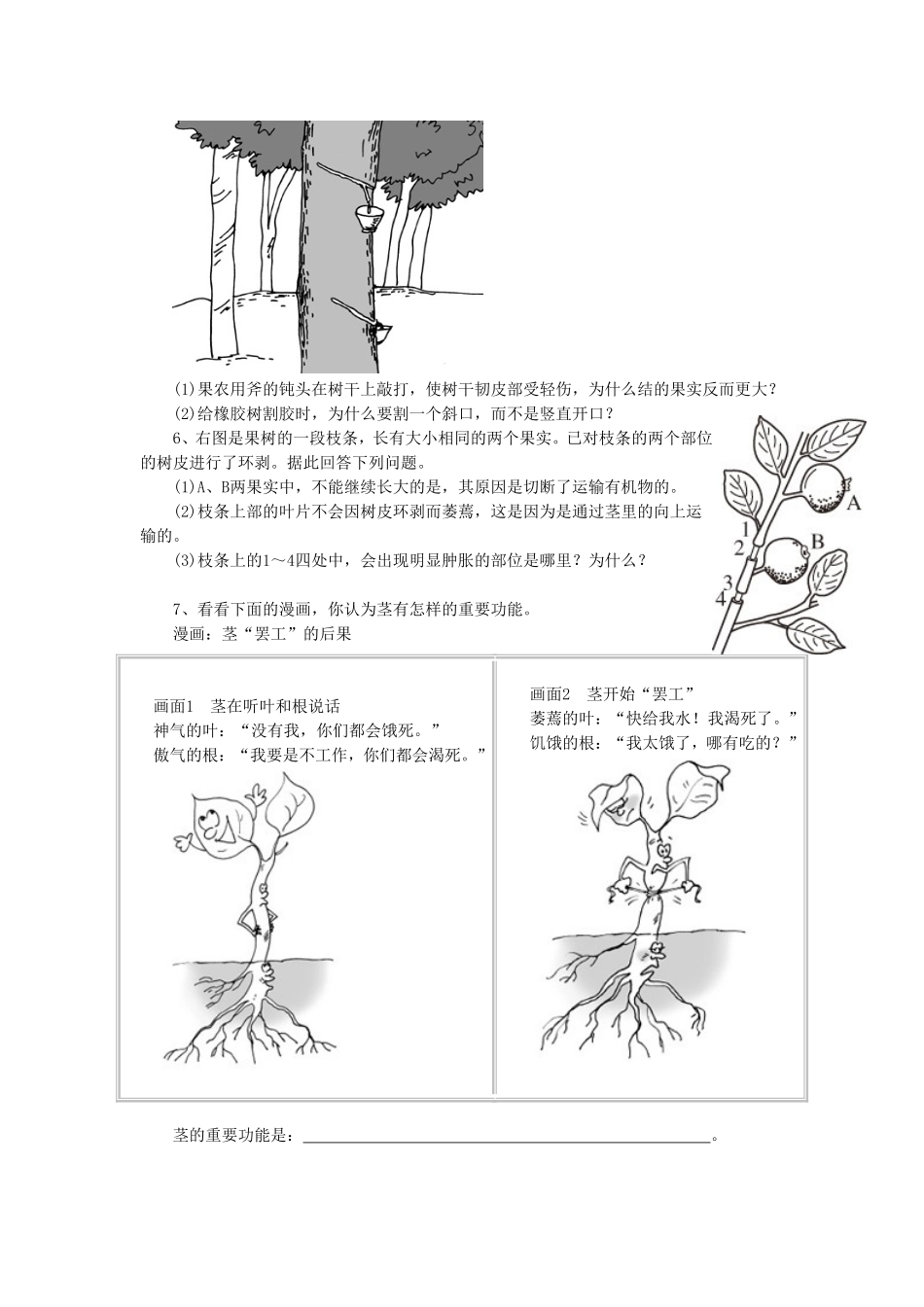《第一节--水分进入植物体内的途径》同步练习3_第2页