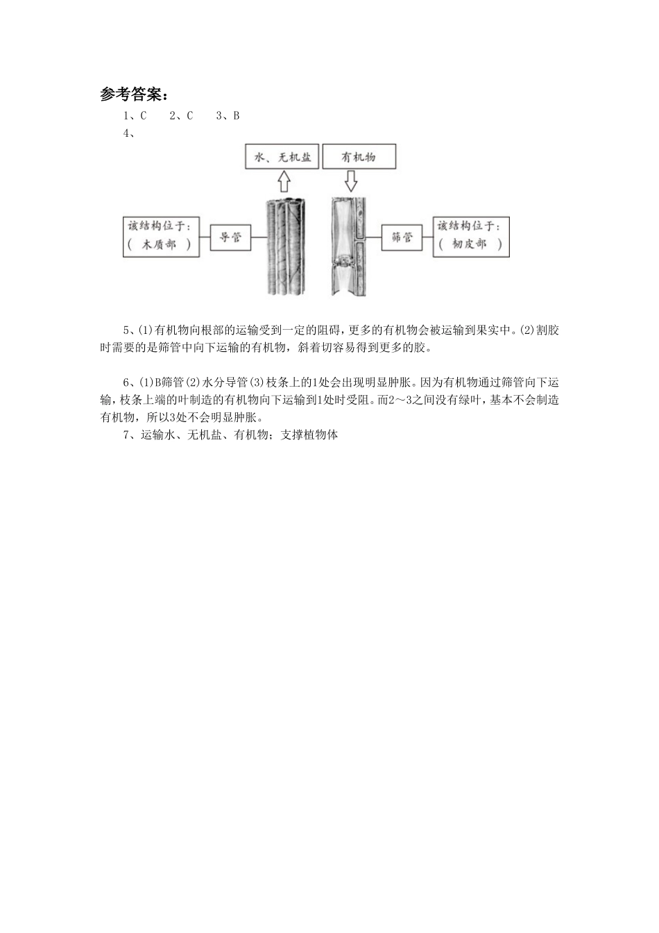 《第一节--水分进入植物体内的途径》同步练习3_第3页