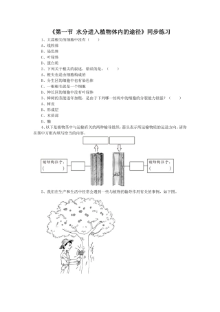 《第一节--水分进入植物体内的途径》同步练习3