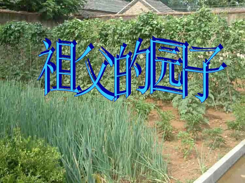 祖父的园子1_第1页