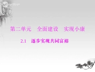 【优化课堂】2012年九年级政治-第二单元-2.1--第1课时--发展社会主义市场经济-让一切财富源泉充分涌流课件-