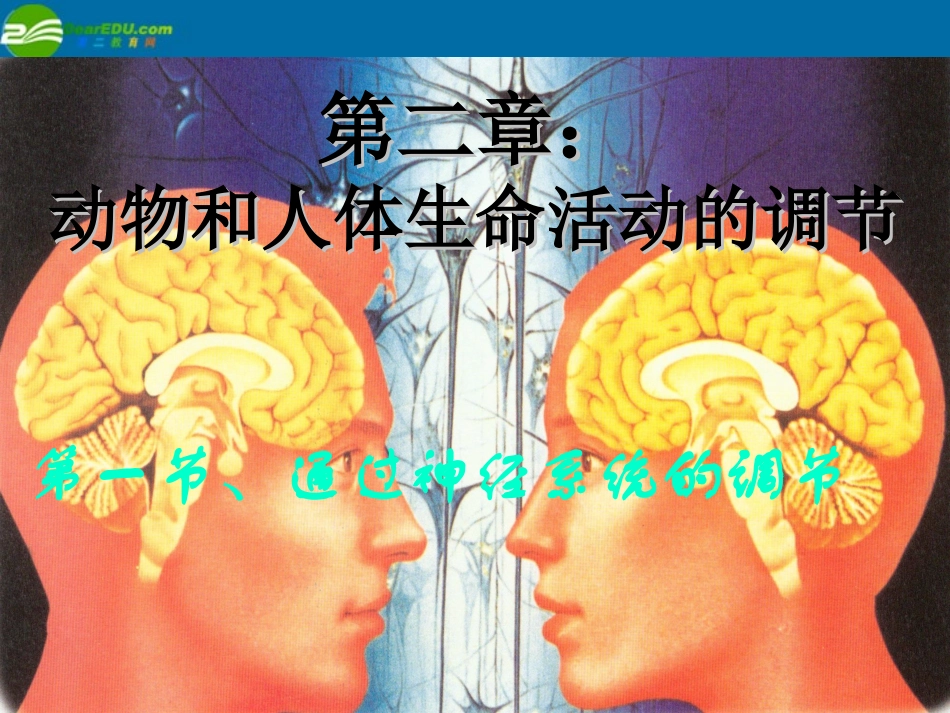 高中生物-2.1《通过神经系统的调节》课件(3)新人教版必修3_第1页