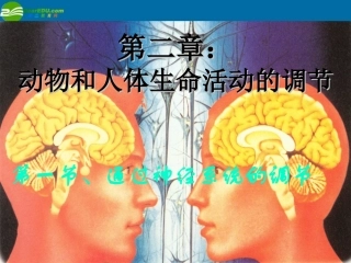 高中生物-2.1《通过神经系统的调节》课件(3)新人教版必修3