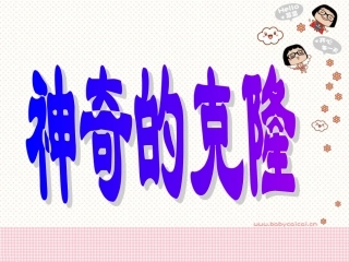 8.神奇的克隆2