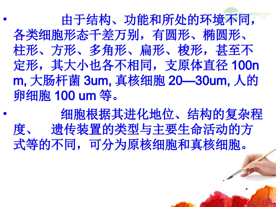 高中生物-2.5《原核细胞》课件-浙科版必修1_第2页