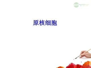 高中生物-2.5《原核细胞》课件-浙科版必修1