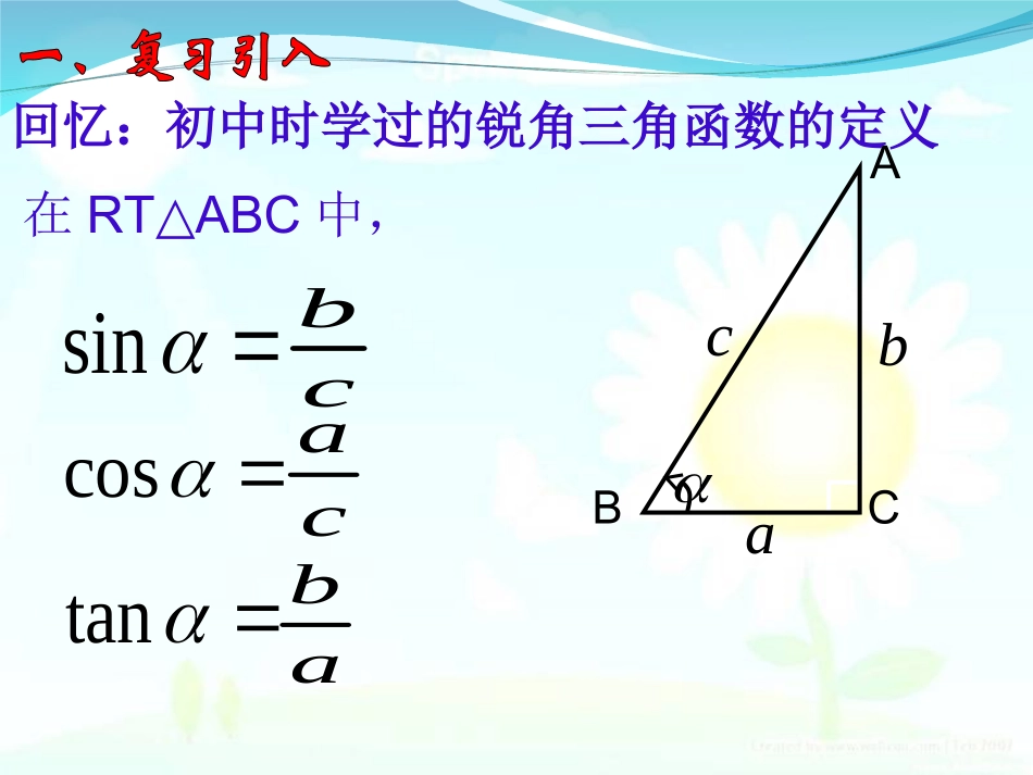 任意角的三角函数(1)_第2页