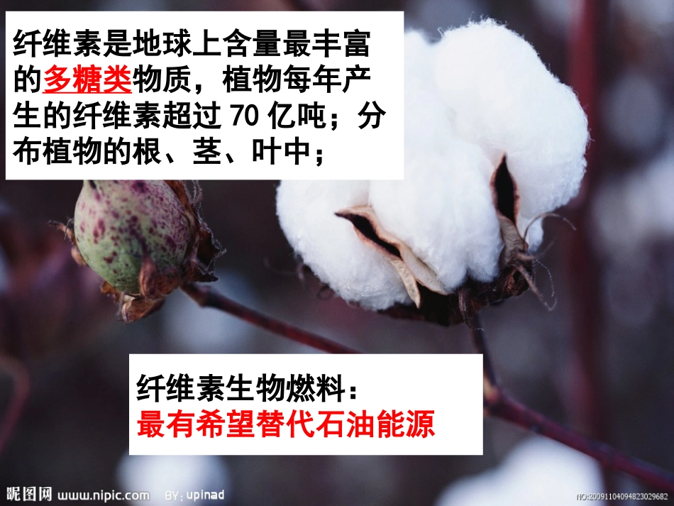 课题3-分解纤维素的微生物的分离-(5)_第2页