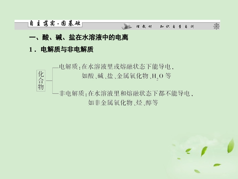 【课堂新坐标】2013届高三化学一轮复习-第二章第二讲-离子反应课件(广东专用)_第2页