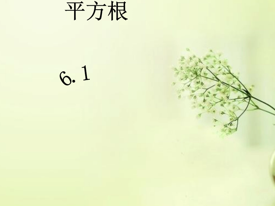 算术平方根.1平方根(1)课件_第1页