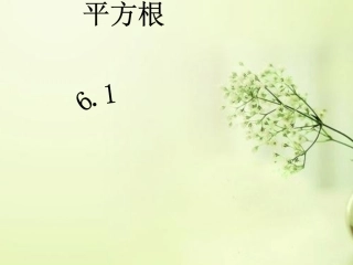 算术平方根.1平方根(1)课件