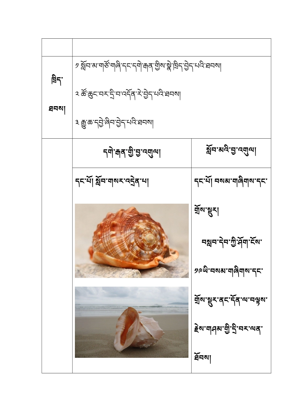 软体动物和节肢动物_第3页