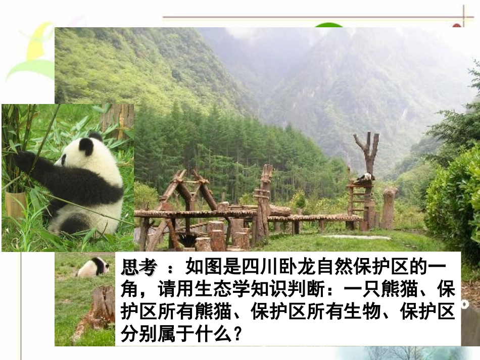 高中生物：-61-生态系统的营养结构(课件)浙科版必修3_第2页