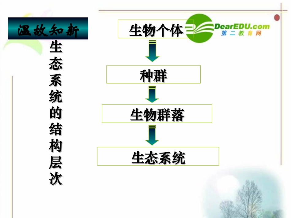 高中生物：-61-生态系统的营养结构(课件)浙科版必修3_第3页