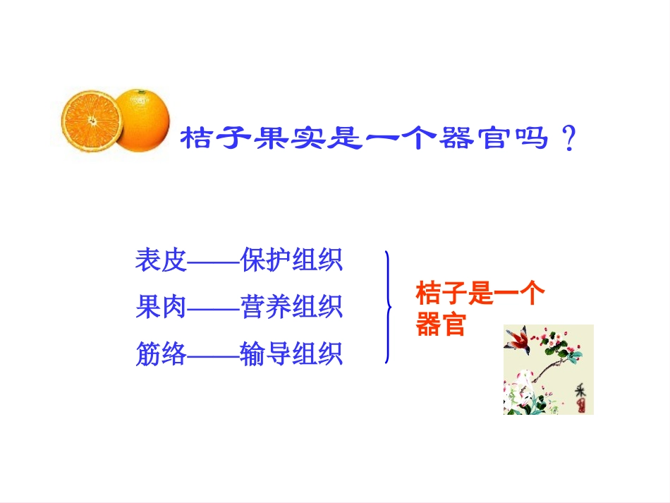 七年级科学上册《生物体的结构层次》课件3-浙教版_第2页