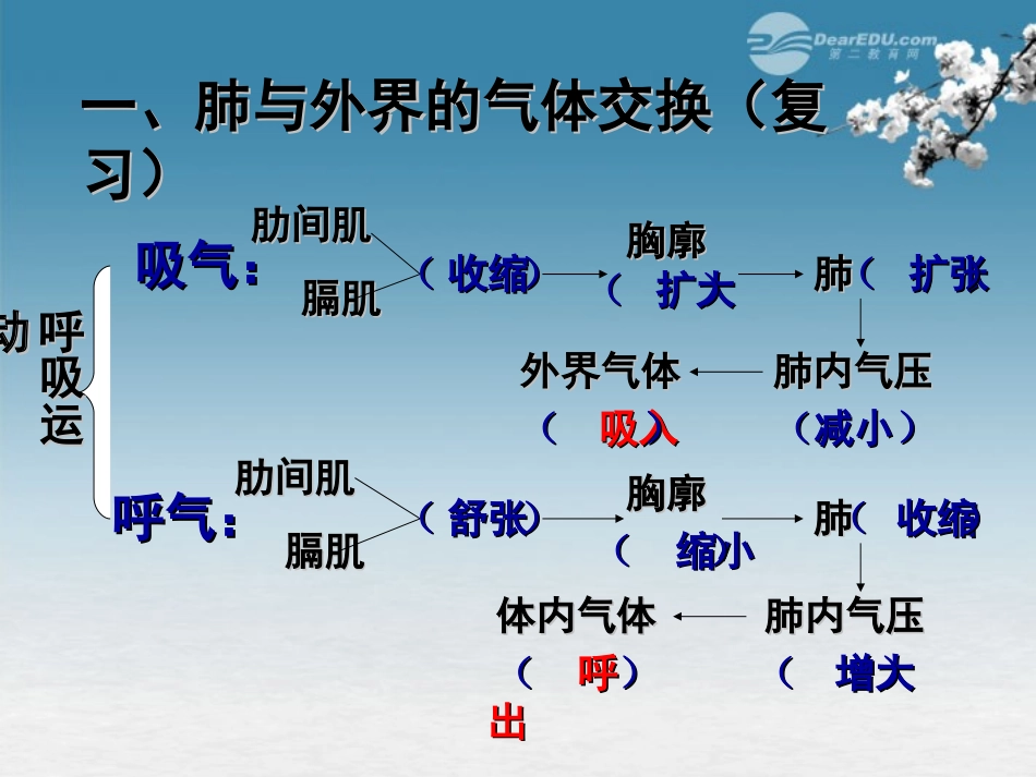 云南省曲靖市麒麟区第七中学七年级生物下册-第二节《发生在肺内的气体交换》课件-新人教版_第2页