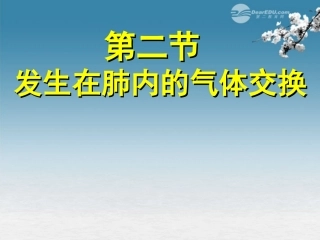 云南省曲靖市麒麟区第七中学七年级生物下册-第二节《发生在肺内的气体交换》课件-新人教版