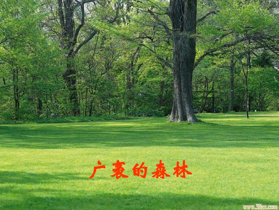 (部编)初中语文人教2011课标版七年级下册《土地的誓言》教学课件-(2)_第3页