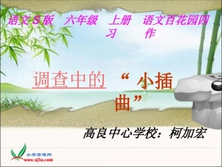 六年级语文上册-调查中的“小插曲”课件-语文S版