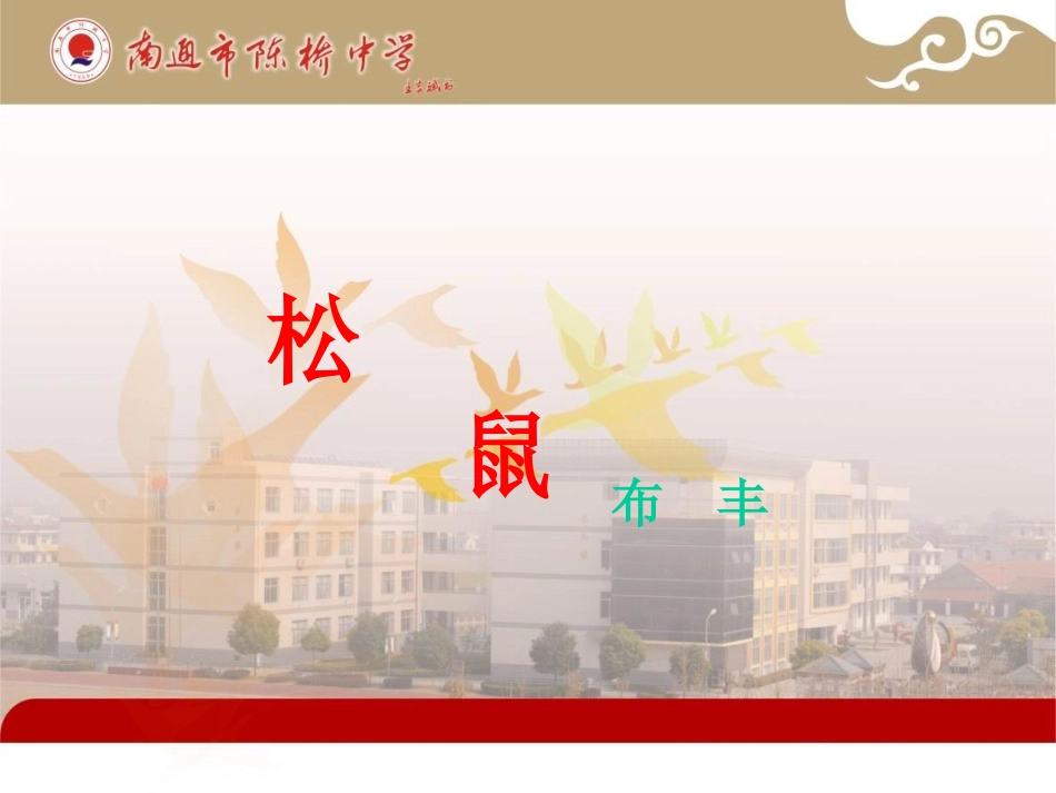 《松鼠》教学课件定稿_第1页