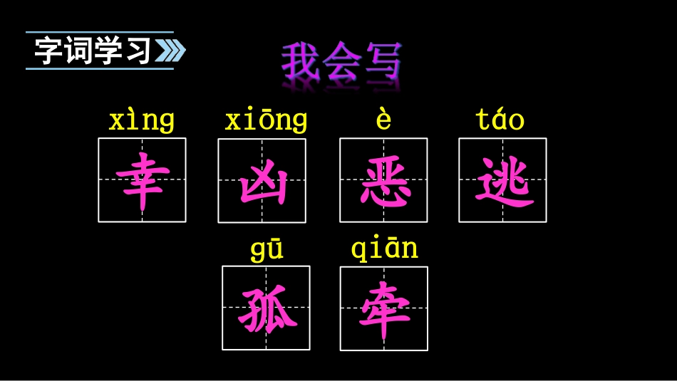21黑眼睛的大红鱼_第3页