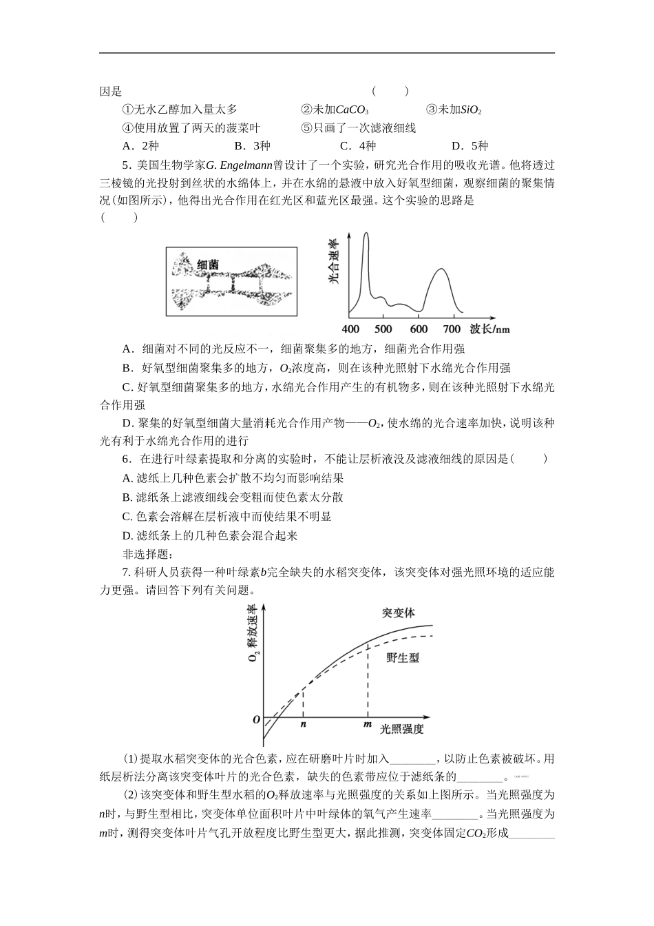 《光合色素与光能的捕获》同步习题1_第2页