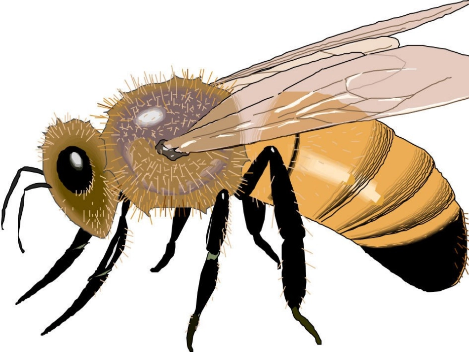 2—6的乘法口诀_第3页